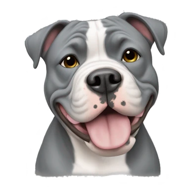 american bully white and grey  sticker