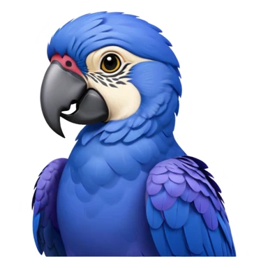 Hyacinth macaw sticker