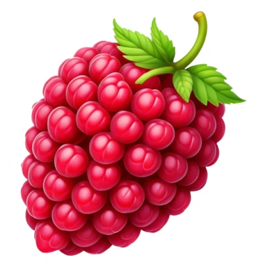 Rasberry sticker