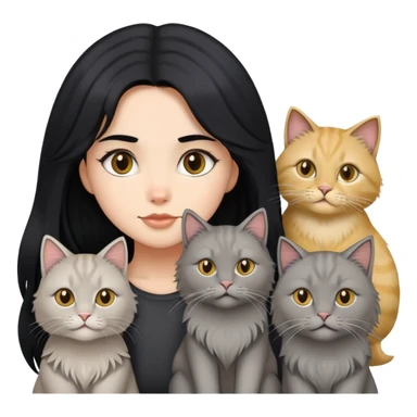 black hair girl with a grey longhair cat and four british longhair golden sticker