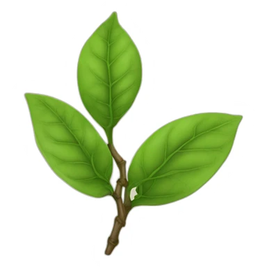 tea leaf, puerh, olachao sticker