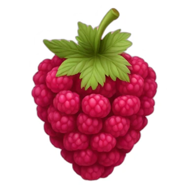 raspberries sticker