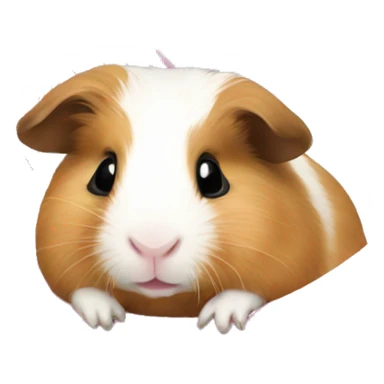 Guineapig in a pink hammock sticker