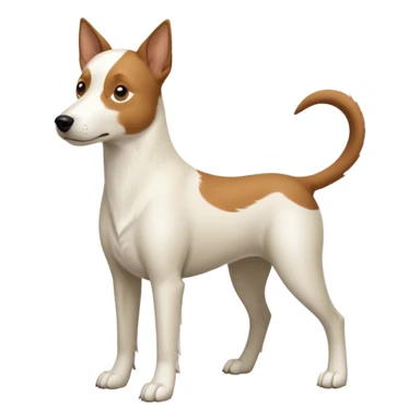 a full body white parsel russell looking dog the size of a kelpie with light brown ears and a light brown patch on one eye and a large snout sticker