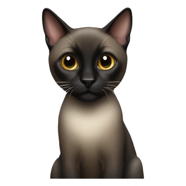 Black Siamese cat sticker
