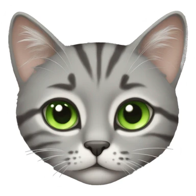 Grey tabby cat fluffy green eyes sticker