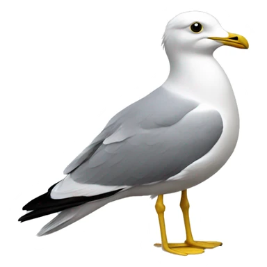 Common gull sticker