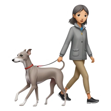 Asian girl walking an all grey Italian greyhound with no white nose, completely grey dog sticker