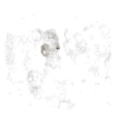 chat socialiste sticker