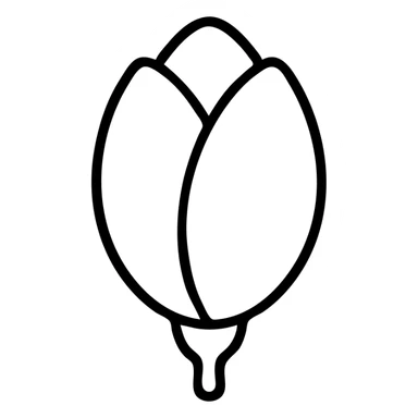 minimalist top-down view of a magnolia flower bud with soft white and light pink petals, fully visible against a plain white background, no extra details sticker