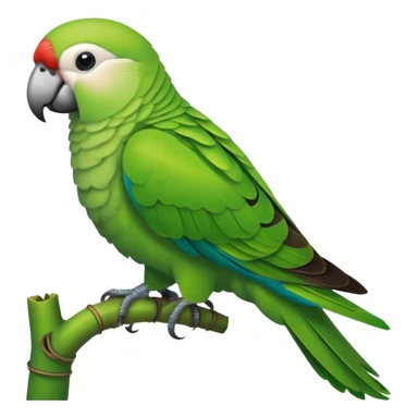 Green Quaker Parrot sticker