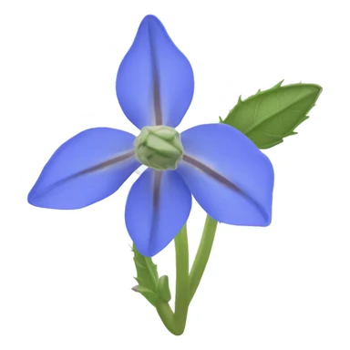 borage flower no leaves sticker