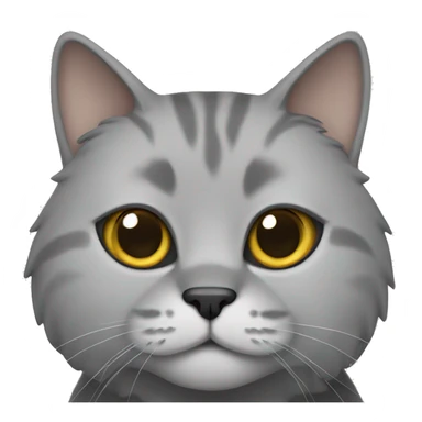 Grey Scottish cat  sticker
