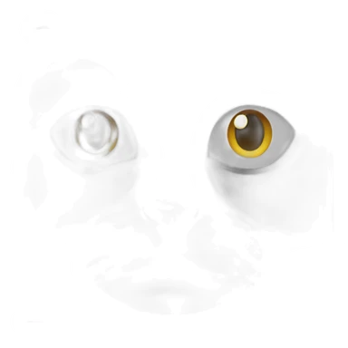 black-cat-white-mustache-face sticker