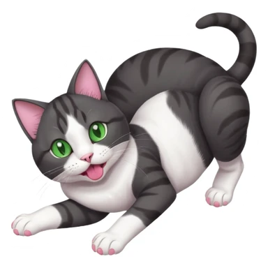 beautiful female solid dark grey cat with green eyes, white toes/paws and white patch on her chest playfully rolling upside down sticker