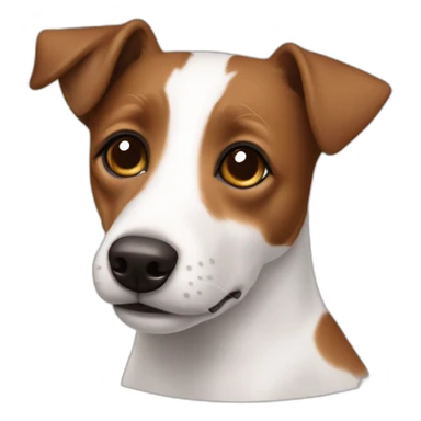 fully brown jack russell with no white sticker