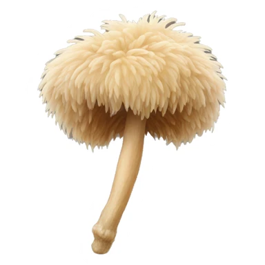 Hericium erinaceus lion's mane sticker