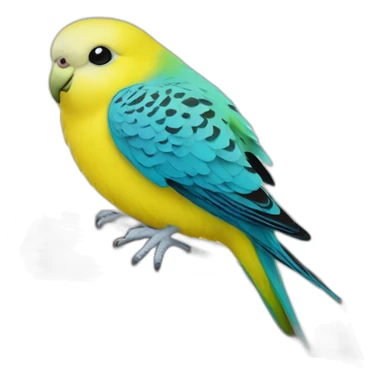 budgerigar on a pillow sticker