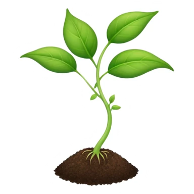 young shoot emerging from its seed sticker