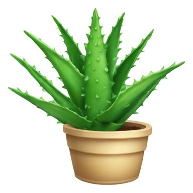Aloe Vera sticker