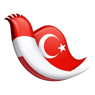 Türk hava yolları uçak sticker