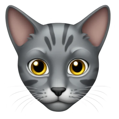 pirate gray cat sticker