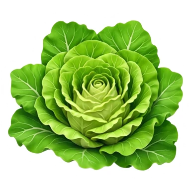 fresh head of lettuce, broad green leaves, crisp, curled edges, outer leaves deep green, inner leaves pale yellow, leafy, ruffled, natural veining, moist, base stem end visible, 3D, clean, minimal, soft shadows, transparent background, emoji scale sticker