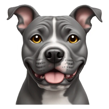 Grey face English staffy sticker
