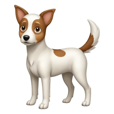 a full body large white floppy eared parson russell looking dog the size of a kelpie with light brown ears and a light brown patch on one eye and a large snout sticker