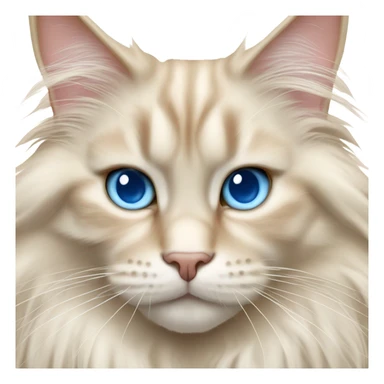 cream colored maine coon cat with blue eyes fluffy sticker