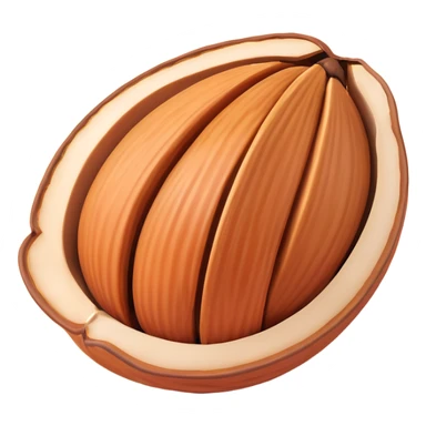 almond half in shell, realistic sticker