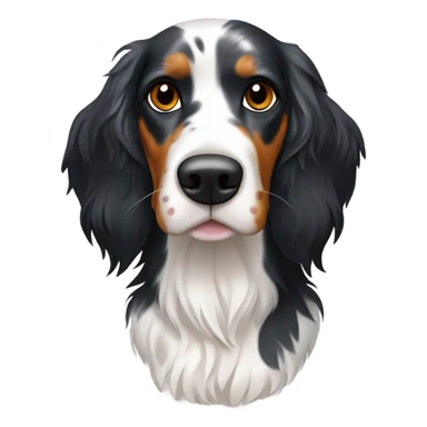 Tri color English setter with a black body sticker
