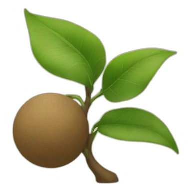 Soulever de terre sticker