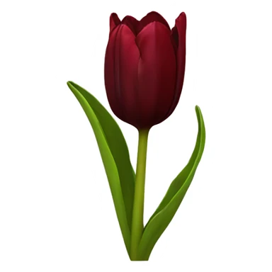 Dark red tulip sticker