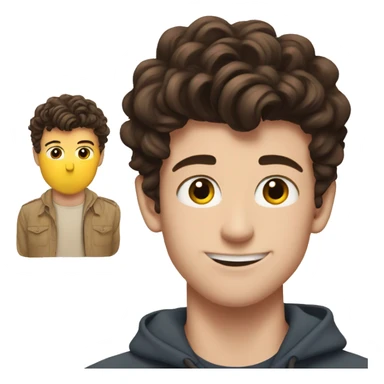 Shawn Mendes  sticker