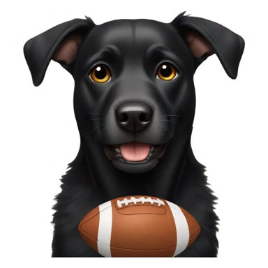 Black dog with football sticker