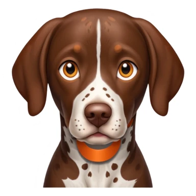 orange spotted face and back german short haired pointer sticker