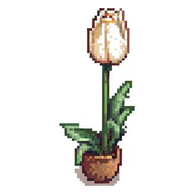 white tulip sticker