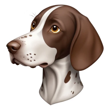 German shorthair pointer  sticker