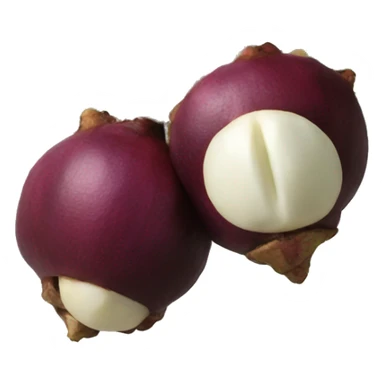 mangosteen sticker