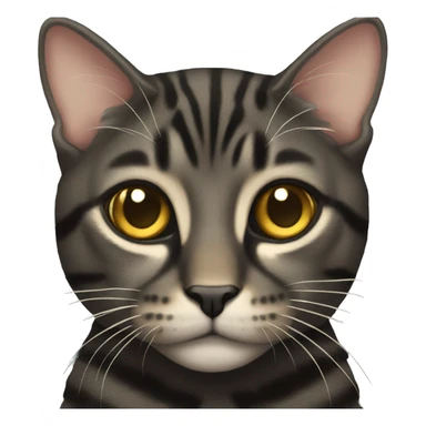 Black tabby with golden eyes sticker