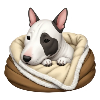 bull terrier sleeping cozy with blanket black head and eats sticker