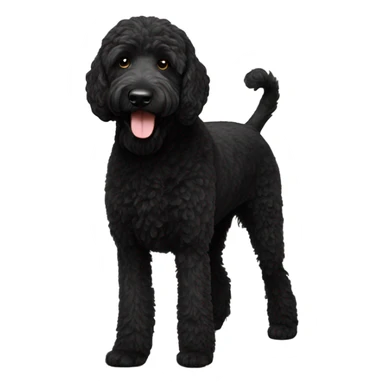 Black Labradoodle  sticker