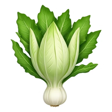 Endive chicory sticker