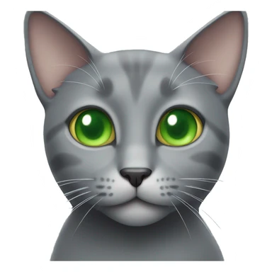 Grey cat with green eyes with a cat treat  sticker