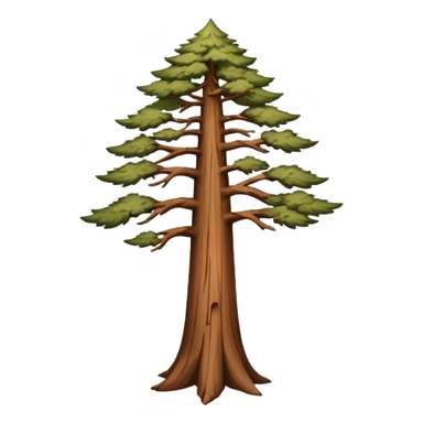 long slim sequoia tree no leaves sticker