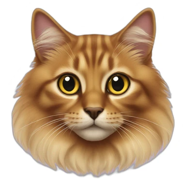 somali cat white sticker