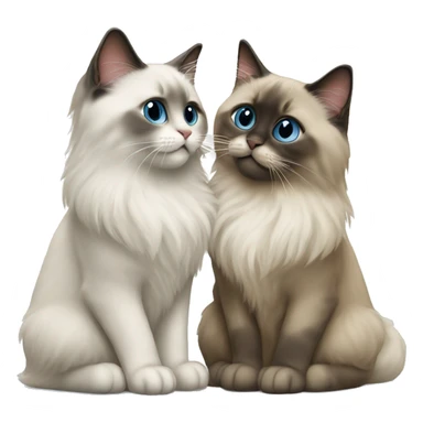 two ragdoll cats kissing sticker