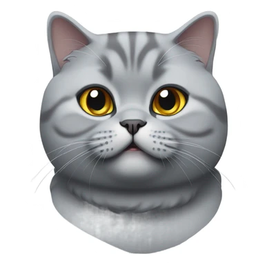 Gray British shorthair cat chubby sticker