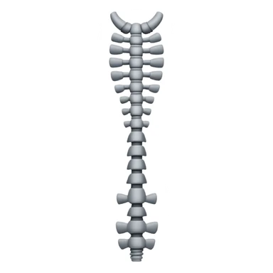 vertebral column sticker